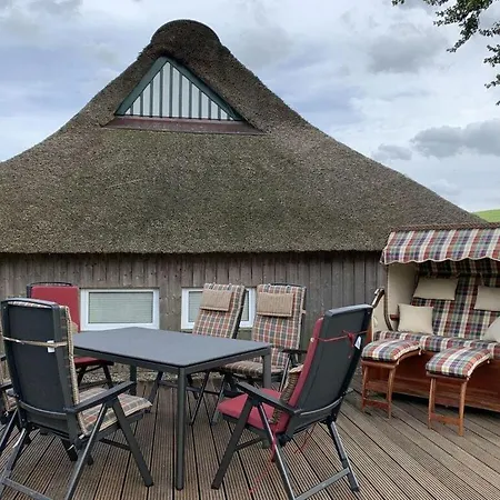 Hotel Thatched 